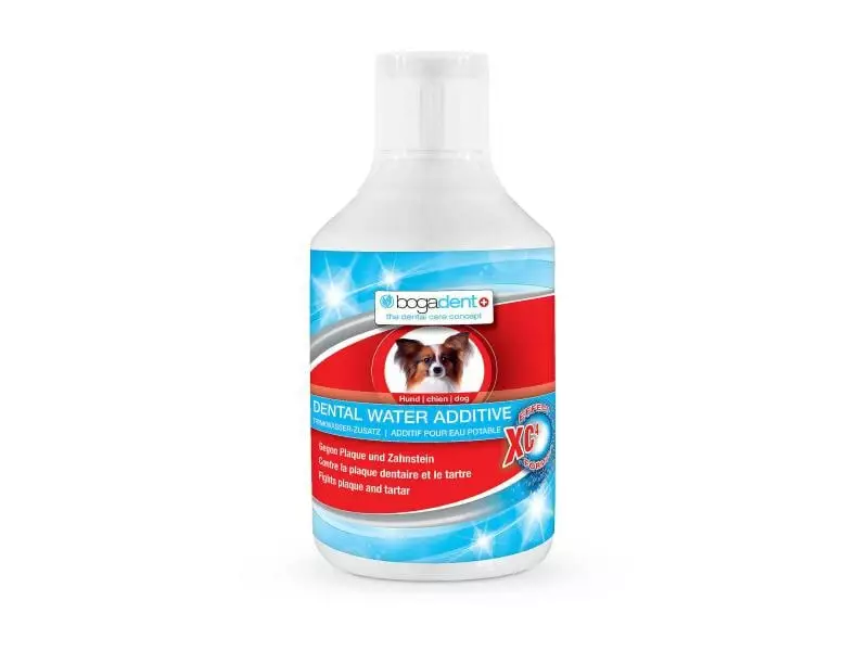 Bogar Zahnreinigung Dental Water Additive 250 ml 1 Bogar Zahnreinigung Dental Water Additive 250 ml