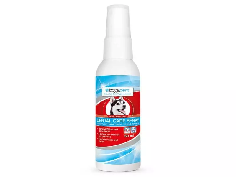 Bogar Zahnreinigung Dental Care Spray Hund, 50 ml 1 Bogar Zahnreinigung Dental Care Spray Hund, 50 ml