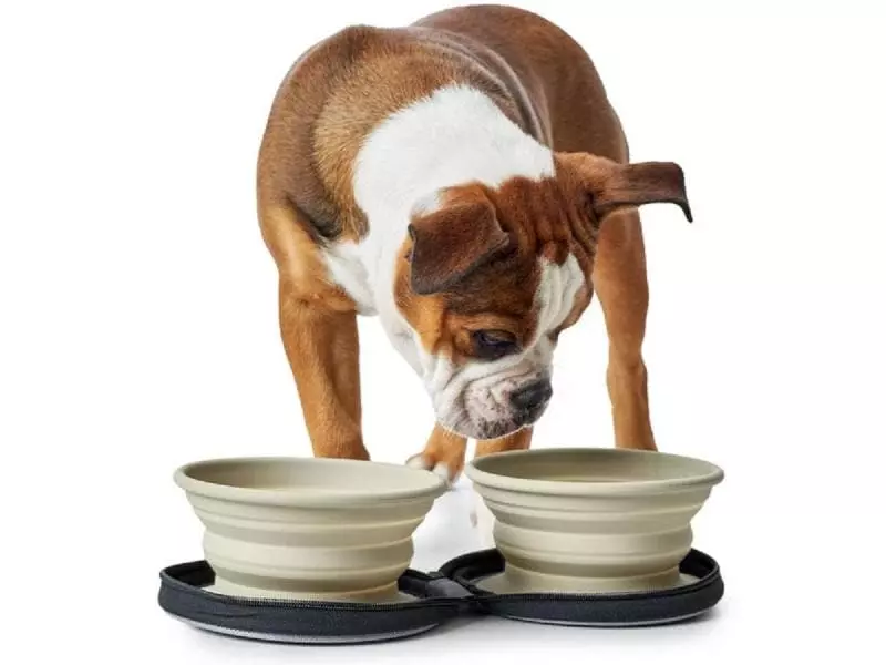 Hunter Reisenapf List mit Tasche 2 Hunter Reisenapf List mit Tasche - Image 2